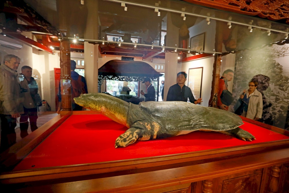 Replica of the Turtle of Hoan Kiem Lake